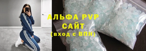 PSILOCYBIN Каменногорск