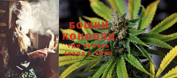 PSILOCYBIN Каменногорск