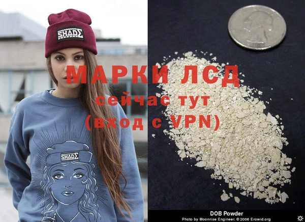 spice Коряжма