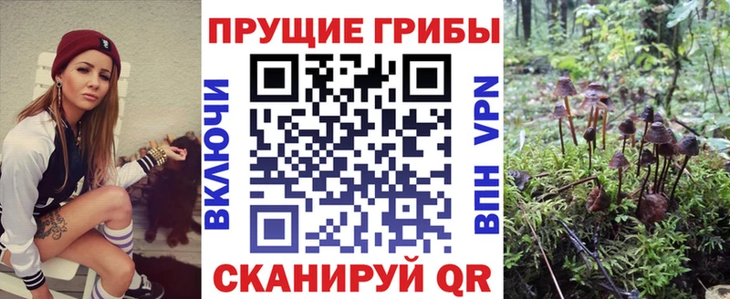 Псилоцибиновые грибы Magic Shrooms Купить Камышлов